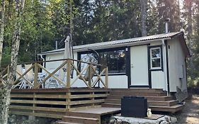Modern Forest Retreat